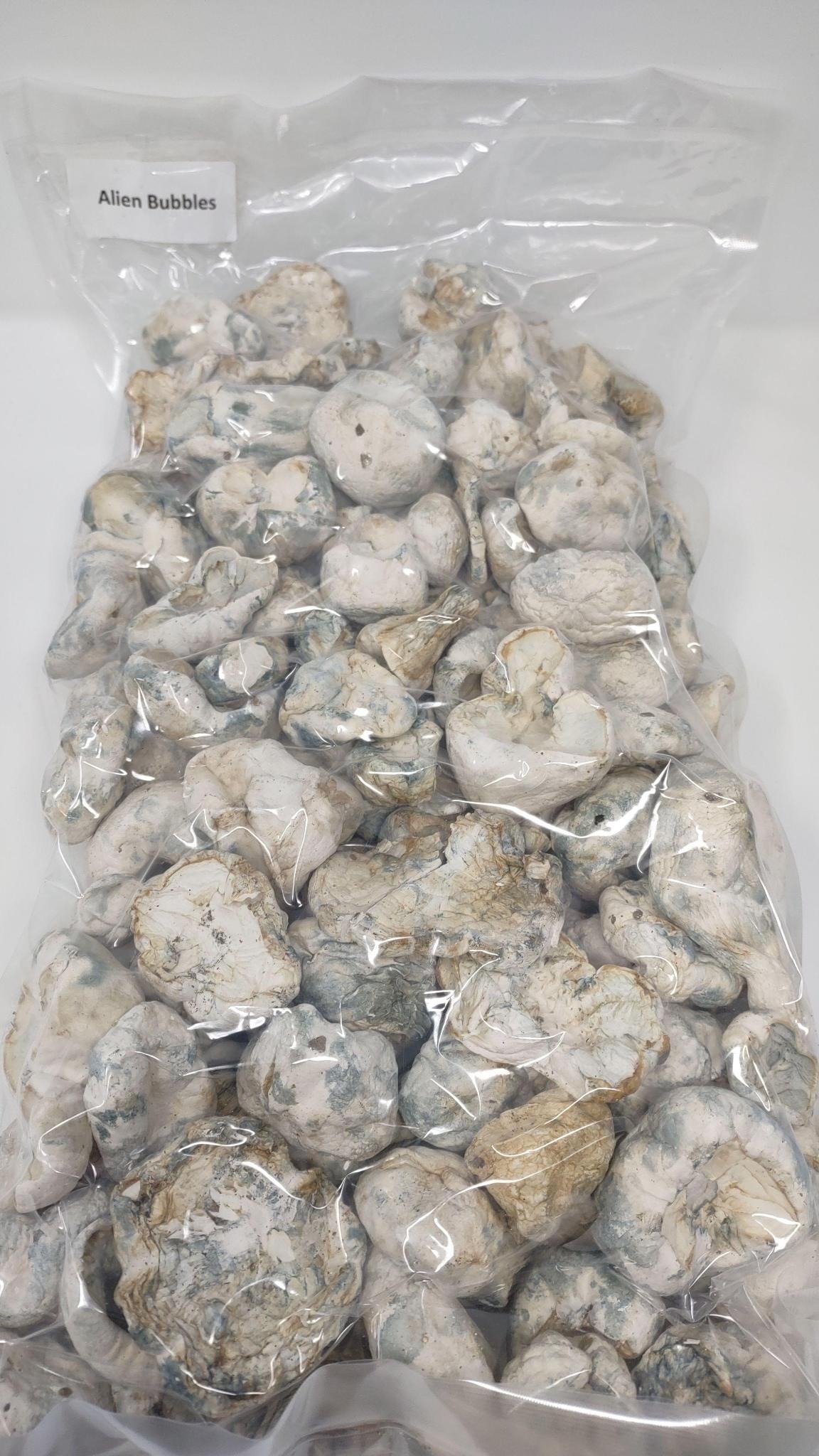 Albino Alien Bubbles